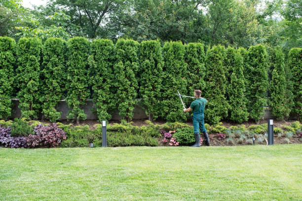 Best Lawn Fertilization  in Zeigler, IL